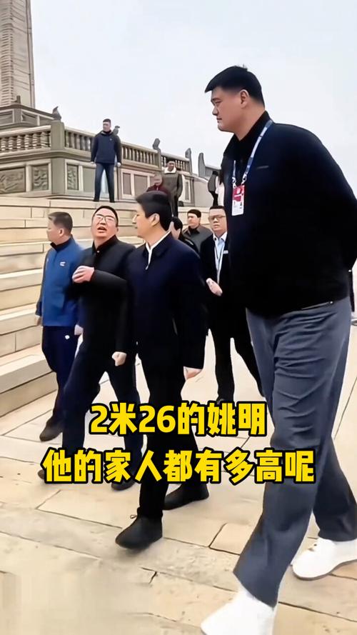 姚明有多重多高？姚明有多高呢体重？