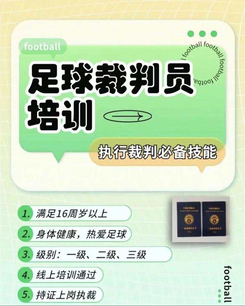 足球裁判查询？足球裁判查询系统？