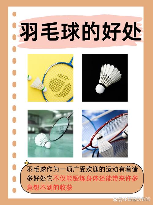 羽毛球在欧美为什么不火，羽毛球为什么不火了？