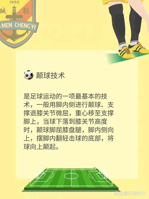 巴西足球的介绍，巴西足球介绍词？
